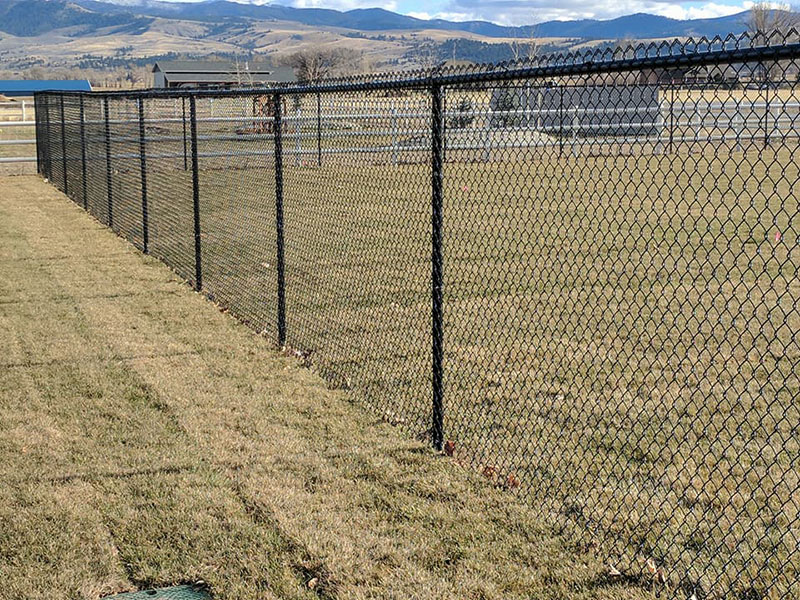  Excellent Fencing Options